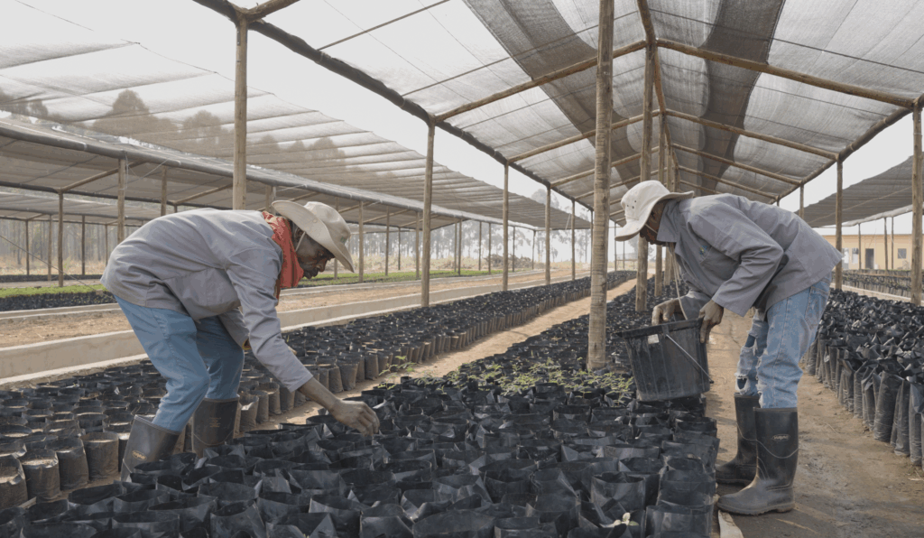 Locally hired workers at the KAYA Lab, Malanje