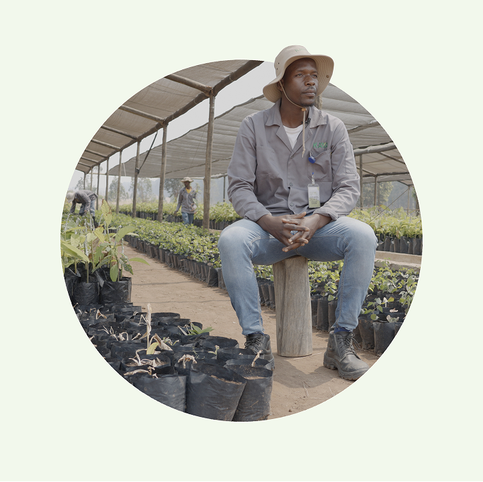 Farmer and community member engaged in agroforestry activities in Malanje province, Angola